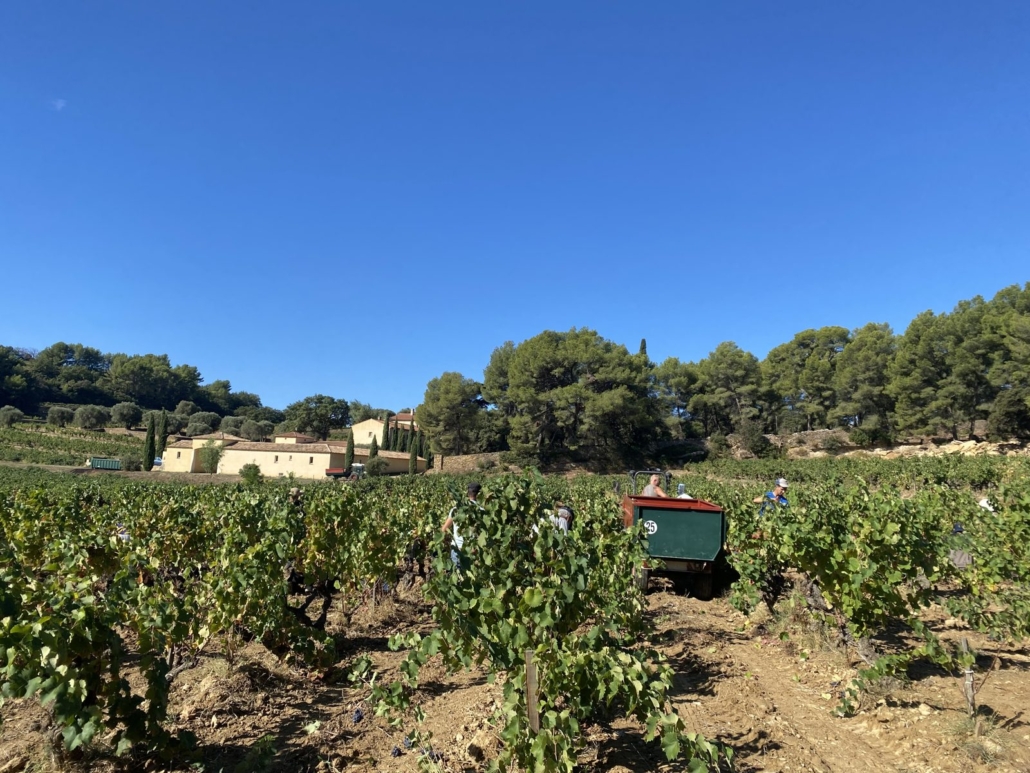 Vendange au Domaine de la Garenne